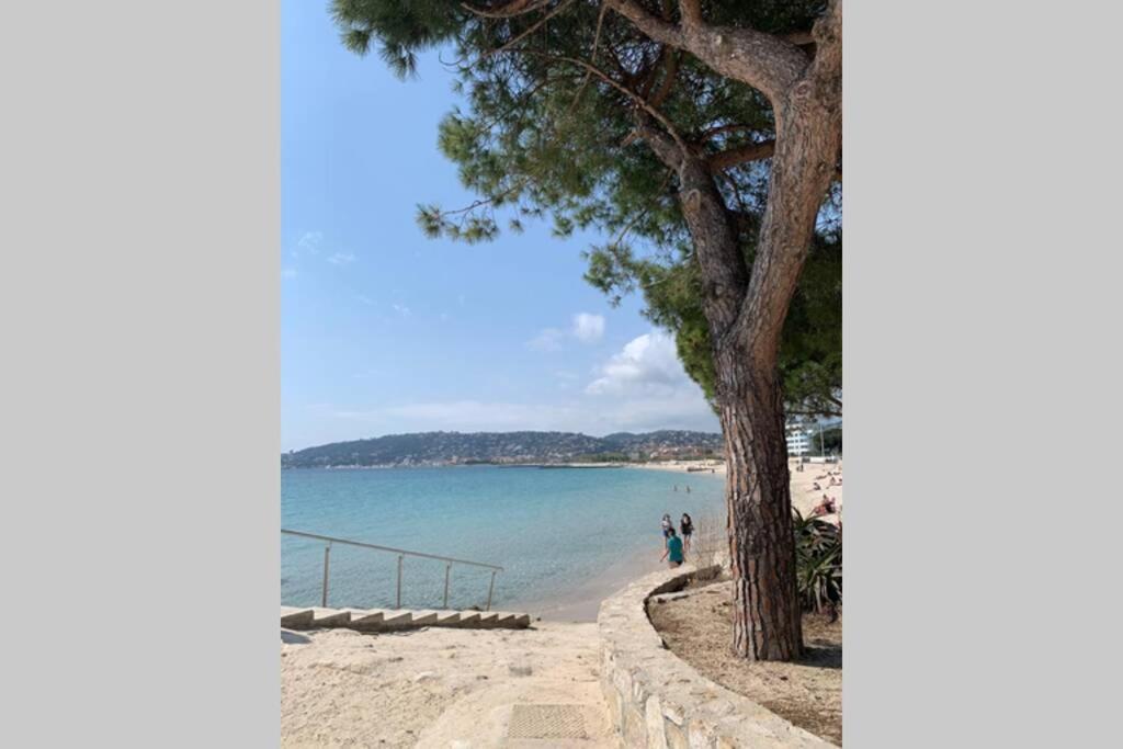 Juan Les Pins Joli T2 Parking Inclus! Appartement Antibes Buitenkant foto